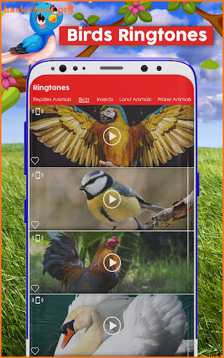 Animals and Birds Ring Tones screenshot