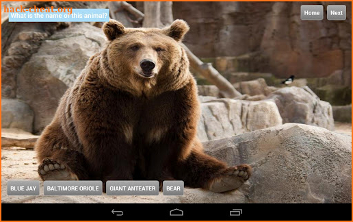 Animals at Zoo screenshot