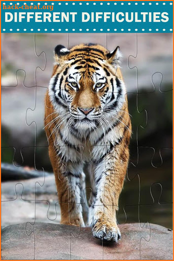 Animals Jigsaw Puzzles - Wild Animals screenshot