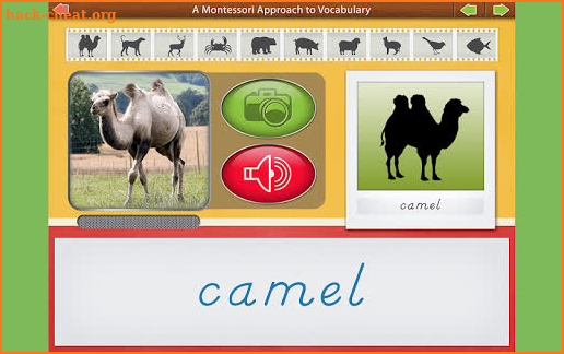 Animals - Montessori Vocabular screenshot