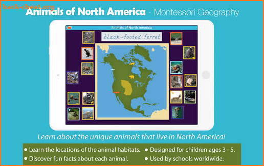 Animals of North America - Montessori Geography screenshot