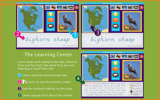 Animals of North America - Montessori Geography screenshot