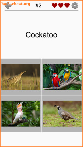 Animals Quiz - Learn All Mammals, Birds and more! screenshot