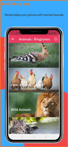 Animals Ringtones : Notification Sounds Free screenshot