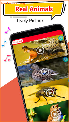 Animals Sound Ringtones Offline 2020 screenshot