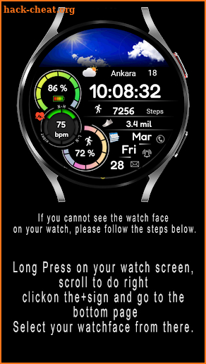 Animated FSW284 Digital screenshot