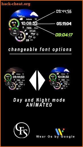 Animated FSW284 Digital screenshot