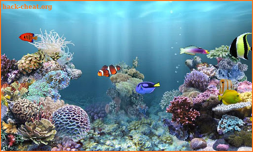 aniPet Marine Aquarium HD screenshot