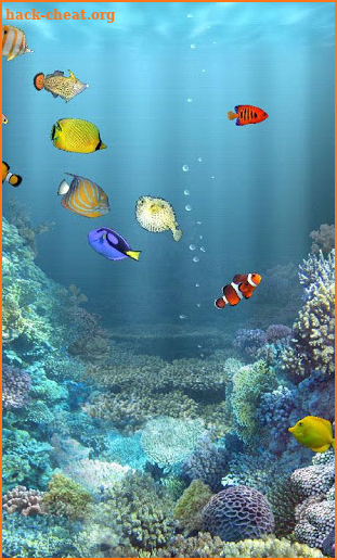 aniPet Marine Aquarium HD screenshot