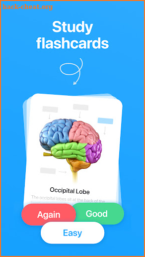 Anki Flashcards: Study Smarter screenshot