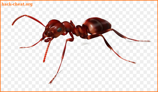 Ant Blasters screenshot