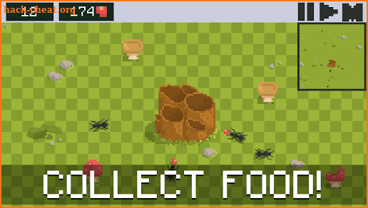 Ant Colony - Simulator screenshot