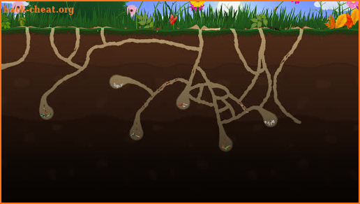 Ant Farm screenshot