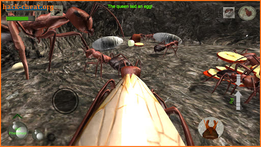 Ant Simulation 3D Full screenshot