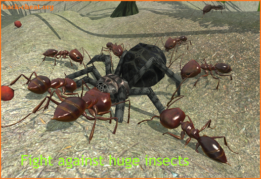 Ant Simulation 3D - Insect Survival Game screenshot