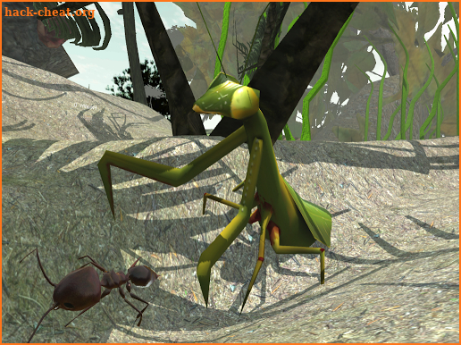 Ant Simulation 3D - Insect Survival Game screenshot