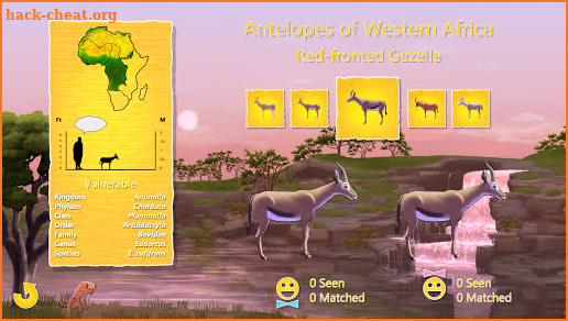 Antelope Up Home Edition screenshot