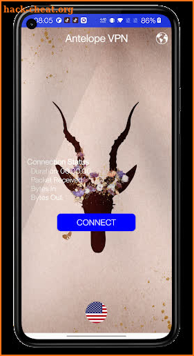 Antelope VPN screenshot