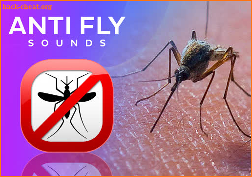 Anti-fly sound screenshot