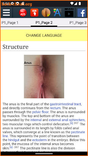 Anus Anatomy screenshot