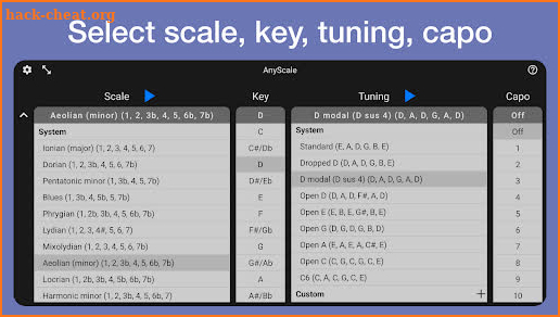 AnyScale - Tunings & Scales screenshot