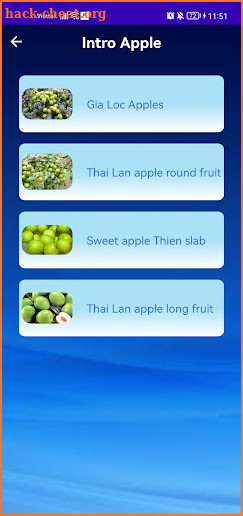 Apple Fruit Style screenshot