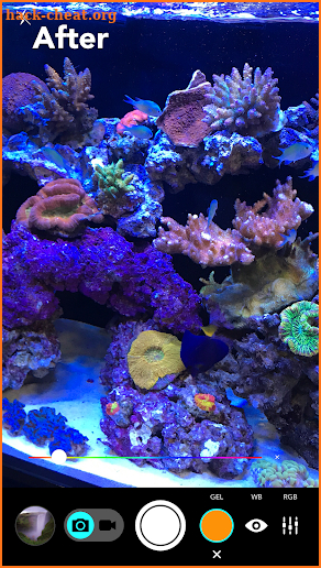 Aquarium Camera screenshot