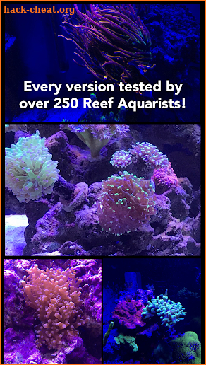 Aquarium Camera screenshot
