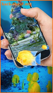 Aquarium Clown Fish Live Wallpaper 2018 screenshot