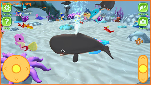 Aquarium Coloring 3D - AR Camera screenshot