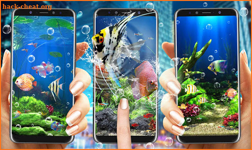 Aquarium Fish Live Wallpaper screenshot