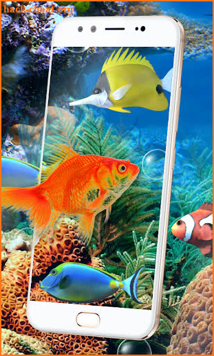 Aquarium Fish Live Wallpaper 2018: Koi Backgrounds screenshot