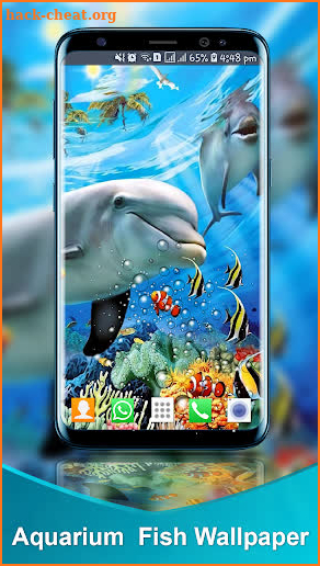 Aquarium Fish Live Wallpaper : Fish Backgrounds HD screenshot