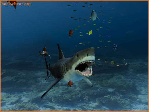 Aquarium VR screenshot