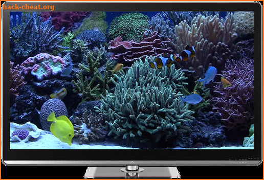 Aquariums on TV via Chromecast screenshot