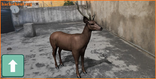 AR Real Animals - Augmented Reality Wildlife App screenshot