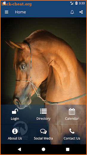 Arabian Horse Association screenshot