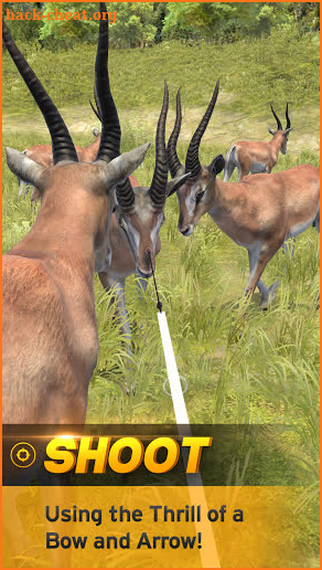 Archery Hunting screenshot