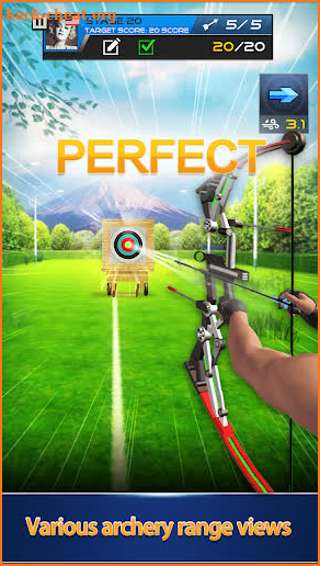 Archery Tournament screenshot