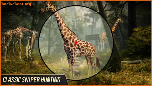 Archery Wild Hunt: Real Sniper Hunting games 2021 screenshot