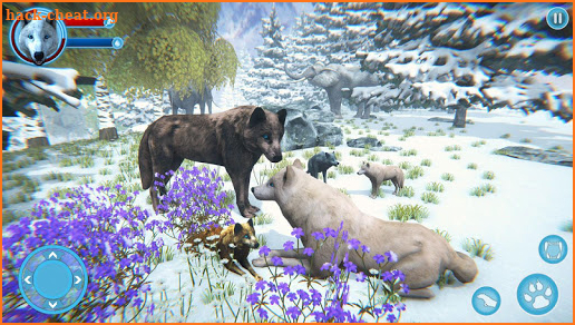 Arctic Wolf Family Simulator: Wildlife Games screenshot