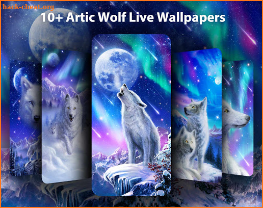 Arctic Wolf Live Wallpapers Themes screenshot