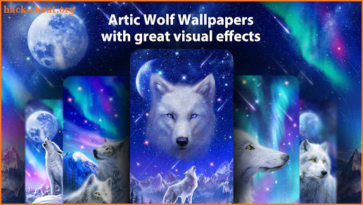Arctic Wolf Live Wallpapers Themes screenshot