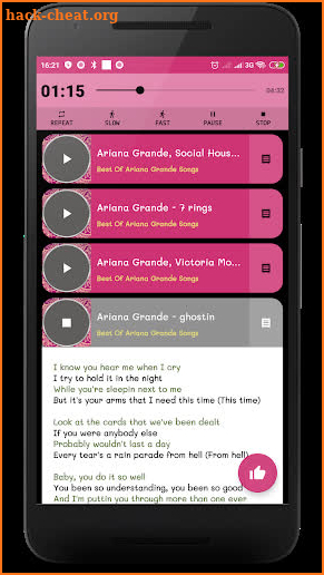 Ariana Grande ( Offline ) screenshot