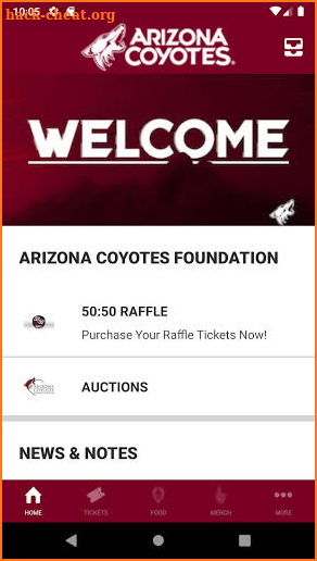 Arizona Coyotes screenshot
