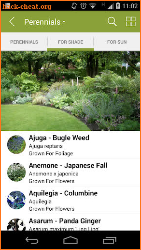 Armitage’s Great Garden Plants screenshot