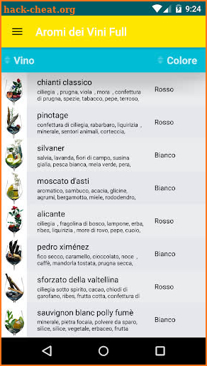 Aromi dei Vini screenshot
