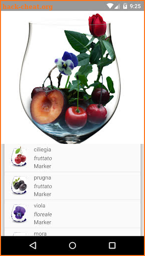 Aromi dei Vini screenshot