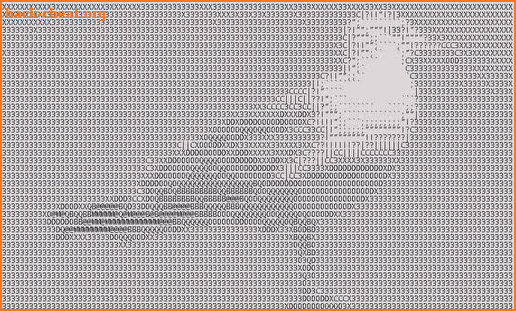 ASCII cam screenshot