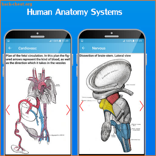 Atlas of Human Anatomy 2020 screenshot